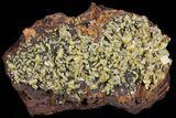 Sandwich Wulfenite Cluster - Ojuela Mine, Mexico (New Find) #50773-2